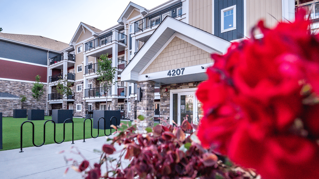 a red flower in front of an apartment building