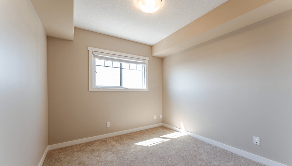 A room with a window and carpeted floor.