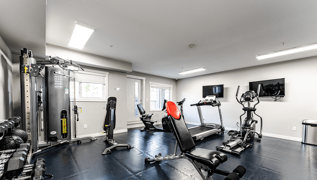 A well-equipped gym with various exercise machines and weights.