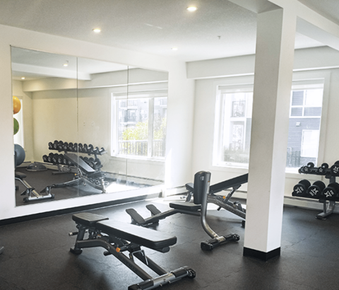 A gym with a mirror, weights, and exercise equipment.