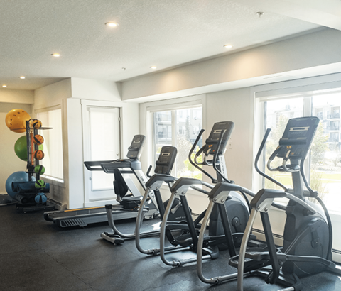 A gym with treadmills and exercise balls.