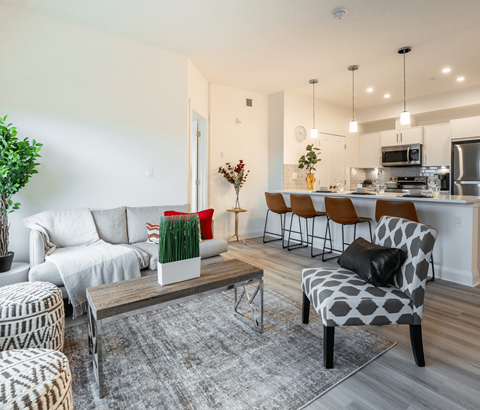 A modern living room with a grey rug and a grey and white patterned chair.