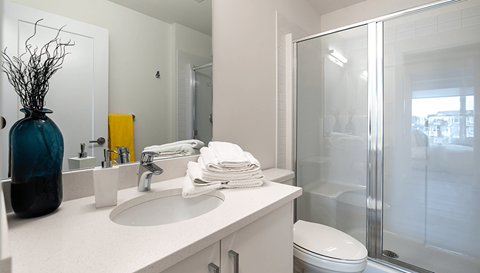 Nolan Hill Phase 2 Bathroom WIth Shower