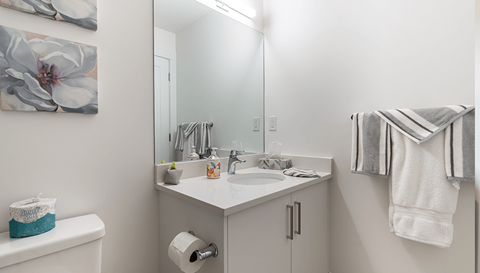 Nolan Hill Phase 2 Bathroom Sink