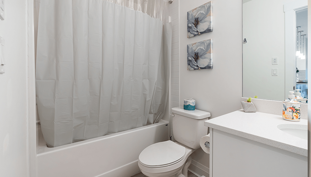 Nolan Hill Phase 2 Bathroom With Tub & Shower