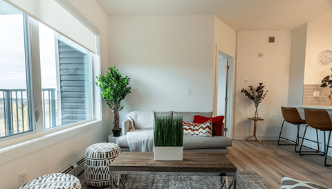 Nolan Hill Phase 2 Living Room With Window