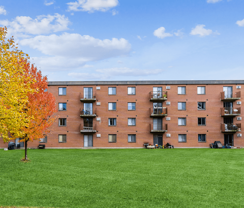 A tree with yellow leaves stands in front of a red brick apartment building.
