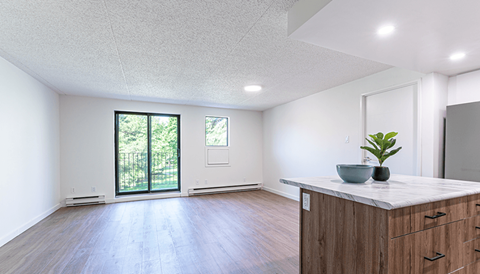A kitchen with a wooden counter and a plant on it.