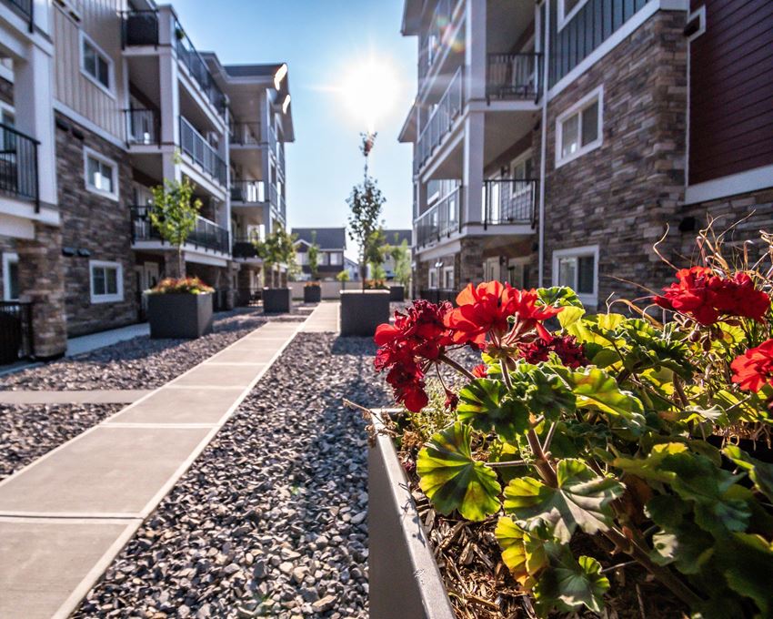 Nautical Luxury Suites At Summerside Apartments, 4211 Savaryn Dr SW