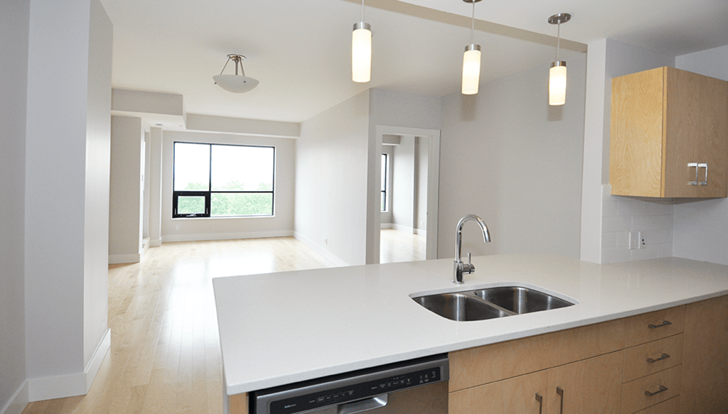 The Plaza Kitchen With Living Room View