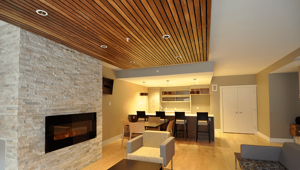 The Plaza Social Room With Fireplace