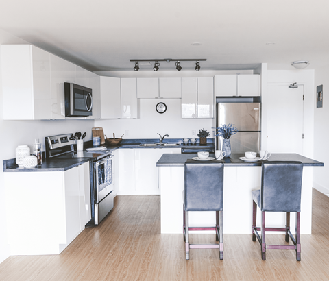 177 Forest Road Studio-1 Apartment for Rent