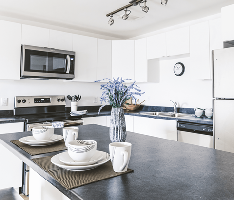 177 Forest Road Studio-1 Apartment for Rent