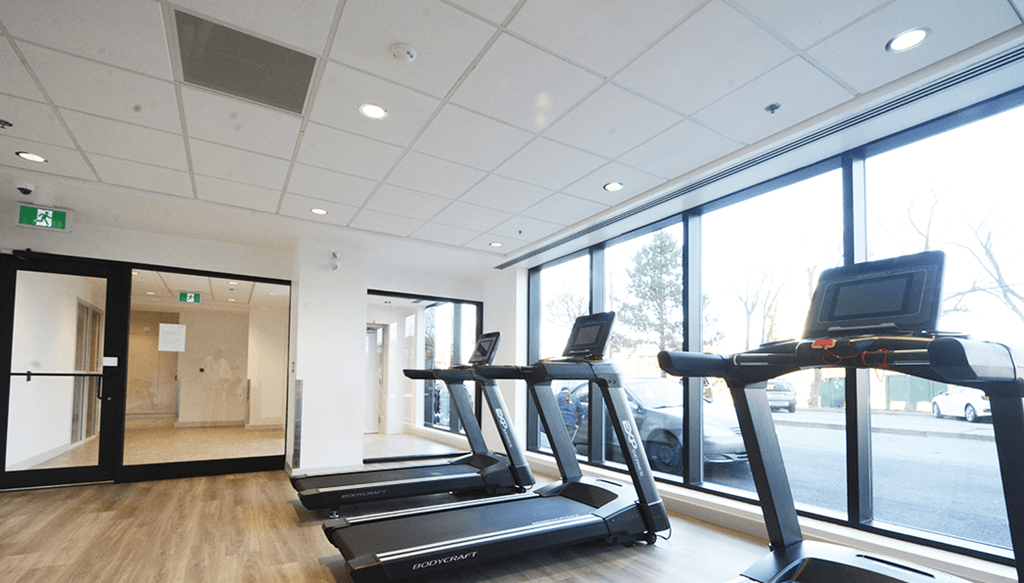 the gym has plenty of cardio equipment and large windows