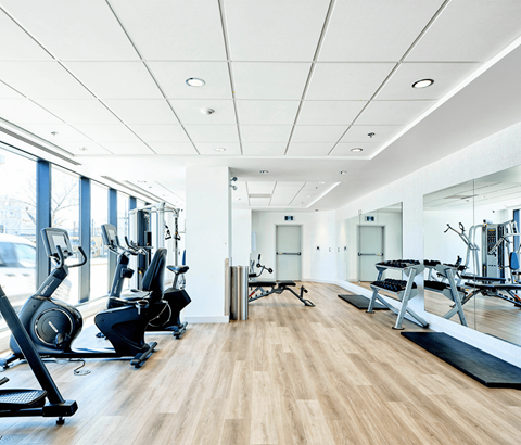 A gym with a variety of equipment including treadmills, stationary bikes, and weight machines.