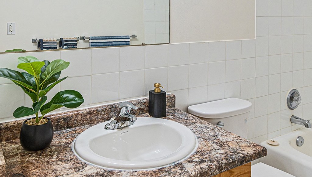 a bathroom with a sink and a toilet and a plant
