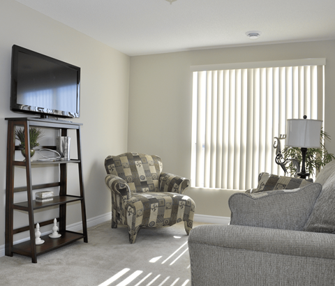 A living room with a television, two chairs, and a plant.
