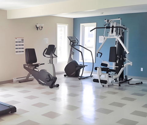 A gym with a variety of equipment including treadmills, stationary bikes, and weight machines.