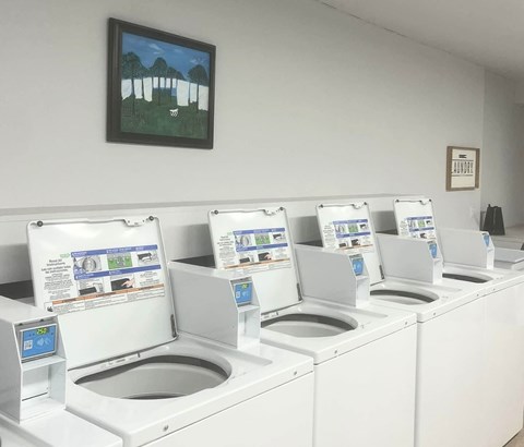 A row of washing machines are lined up in a laundromat.