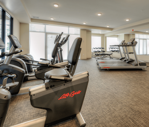 A gym with treadmills and elliptical machines.