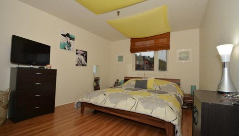 a bedroom with a bed and a tv in it