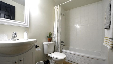 a bathroom with a toilet and a tub and a sink