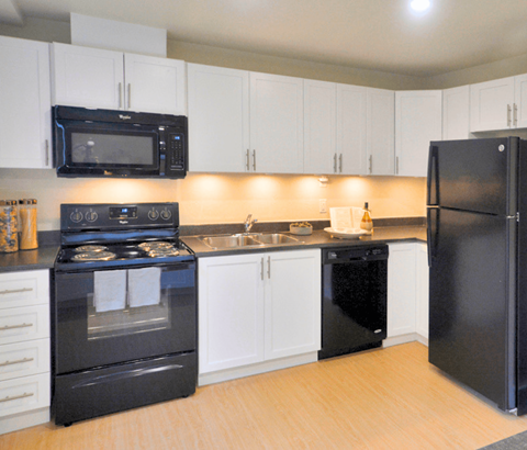 A black stove and oven in a kitchen with white cabinets.