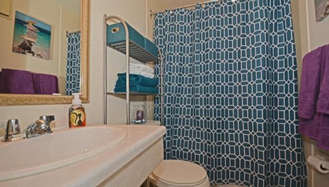 a bathroom with a sink and a toilet and a shower