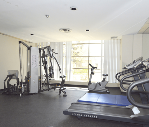 A gym with a treadmill, weights, and exercise equipment.
