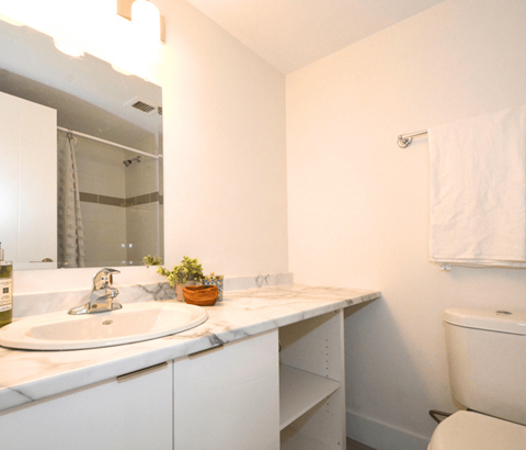 Spring Garden Terrace Bathroom