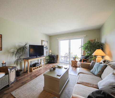 A living room with a television, couch, and a coffee table.