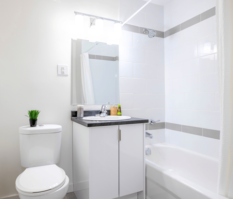 A white toilet sits next to a sink in a bathroom.