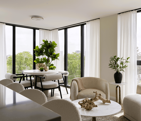A living room with a table, chairs, and a potted plant.