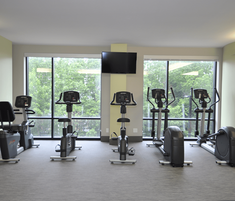 A gym with a row of exercise bikes and a television mounted on the wall.