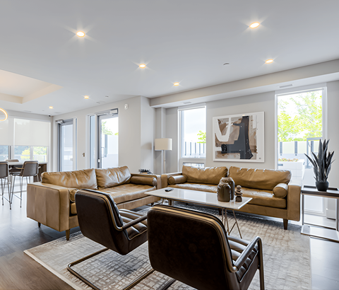 A modern living room with a brown leather sofa and a wooden coffee table.