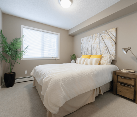 A bedroom with a large bed, a potted plant, and a lamp.