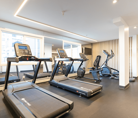 A gym with treadmills and elliptical machines.