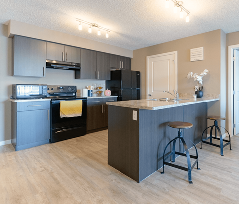 A kitchen with a black refrigerator and a black oven.