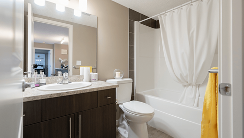 our apartments offer a bathroom with a shower and a sink