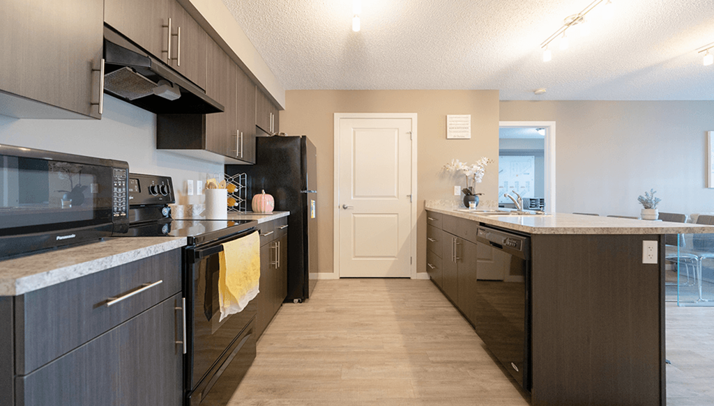 a kitchen with dark cabinets and stainless steel appliances