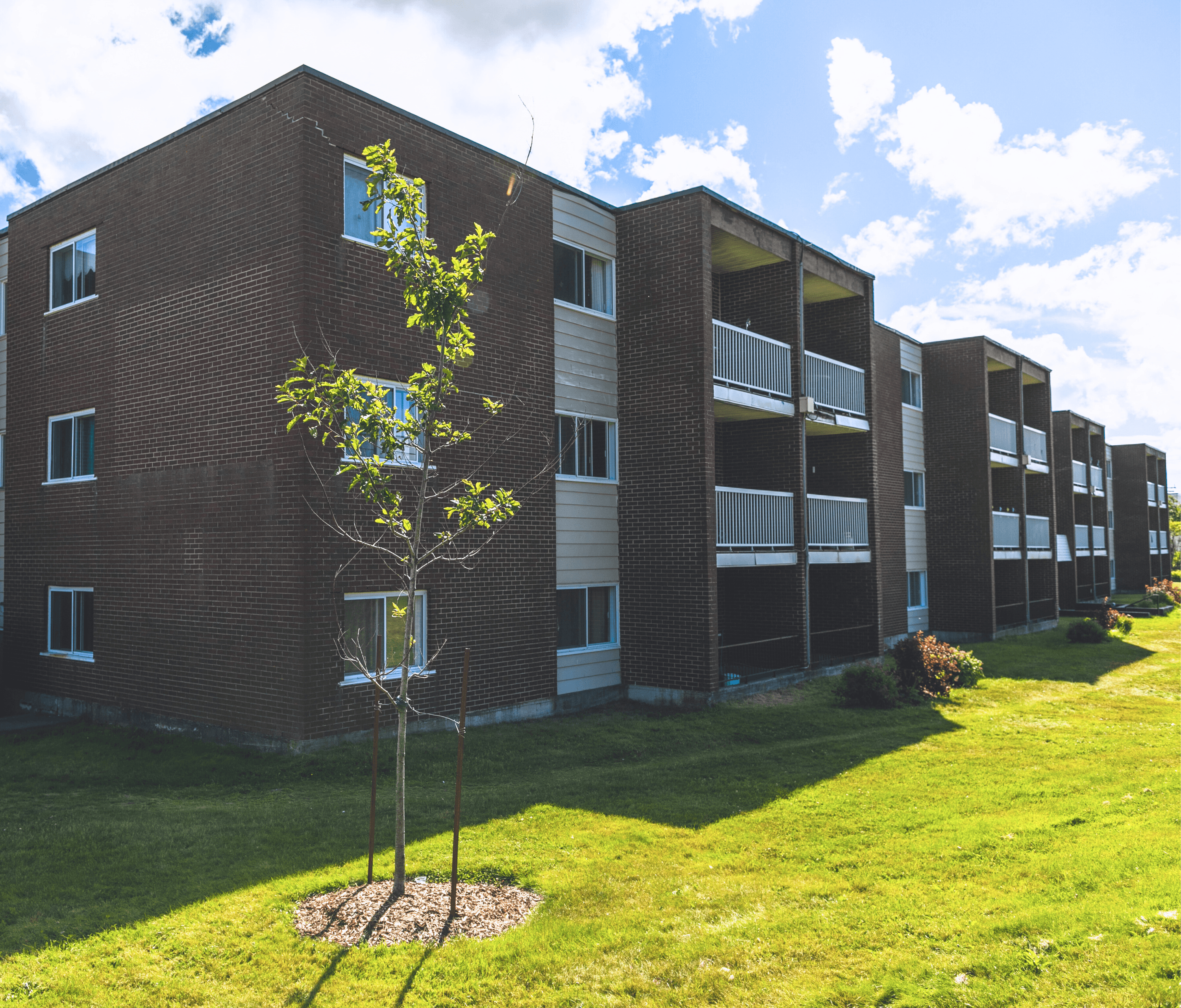 2 bedroom apartment - Torbay Road Apartments, St. Johns - unit SL119 3