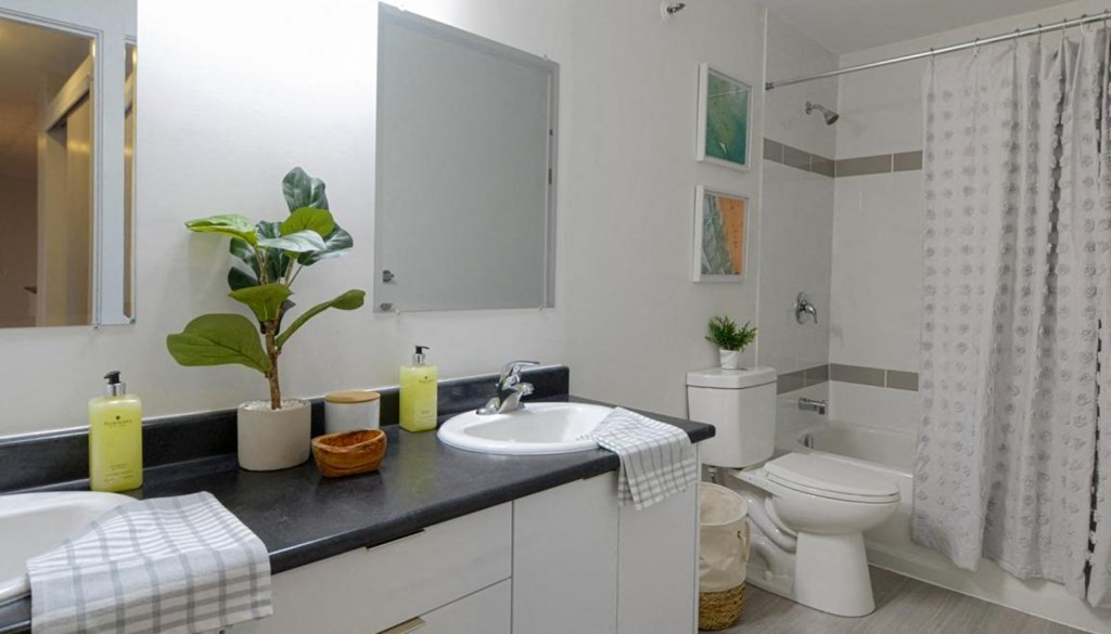 A bathroom with a sink, toilet, and shower.