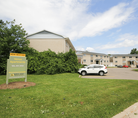 A sign in front of a building advertises that it is now renting.