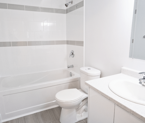 Veronica Drive Bathroom