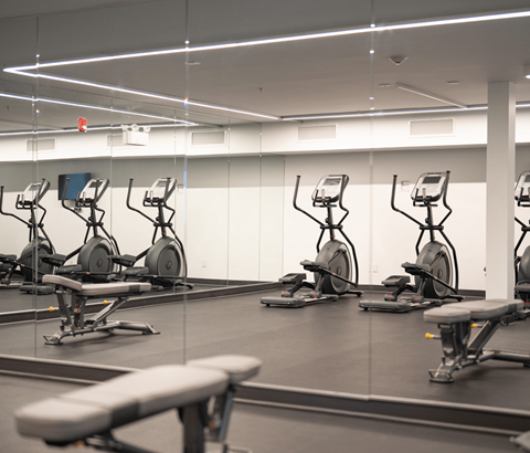 A gym with exercise bikes and a bench.