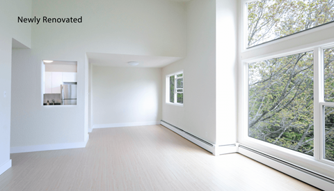 A newly renovated room with a view of trees outside the window.