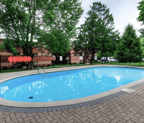 A small pool surrounded by trees and a black fence.