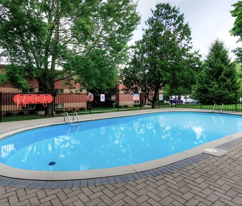 A small pool surrounded by trees and a black fence.