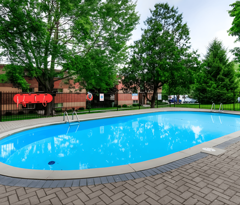 A small pool surrounded by trees and a brick border.