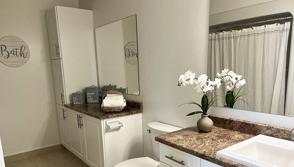 a bathroom with a toilet and a sink and a mirror